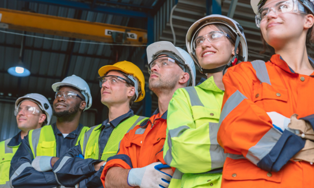 Screenshot 2024 11 19 103502