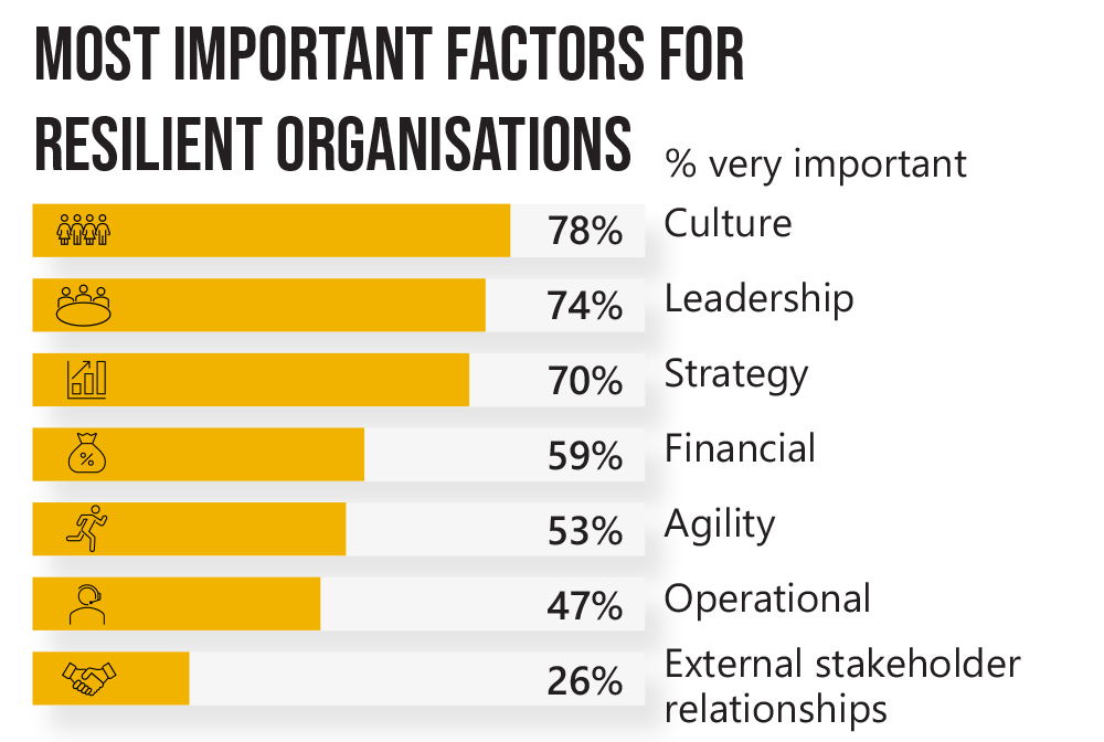 Resilience Factors 2